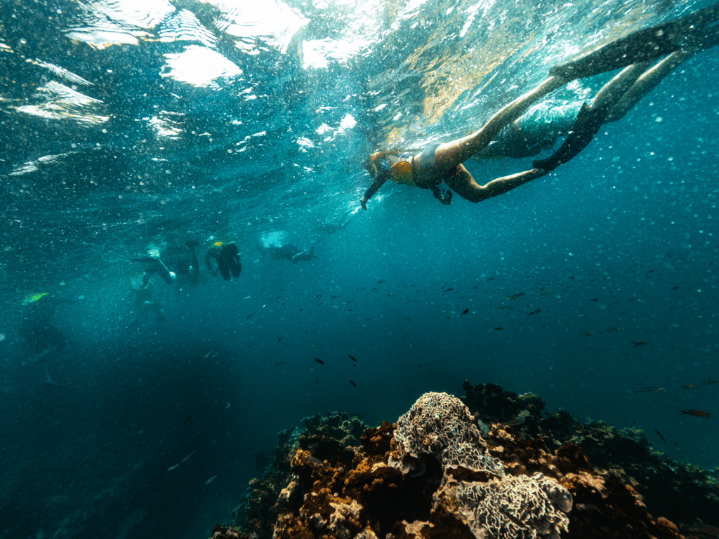 Snorkelers exploring vibrant underwater coral reefs in the Galapagos, showcasing marine life and adventure experiences offered by National Geographic Expeditions.